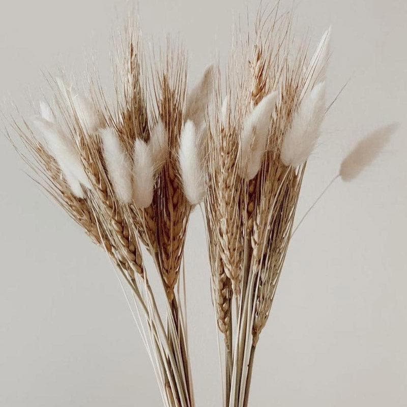 Dried Flowers & Leaves