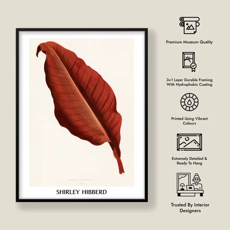 Canna Atro Nigricans Shirley Hibberd Archival Canvas Wall Painting - Black Frame media 8