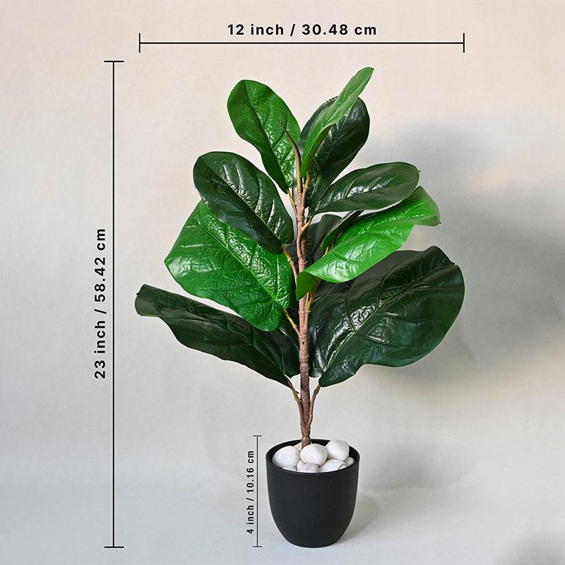 Faux Everlasting Fiddle Leaf Fig Plant With Black Plastic Pot - 58 cm media 5