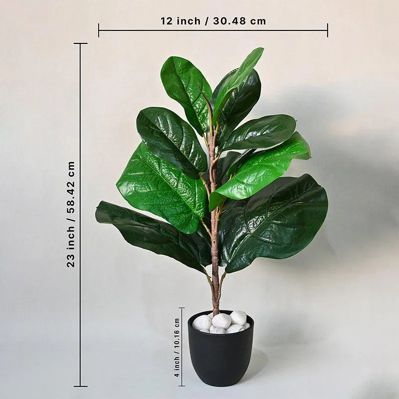 Faux fiddle leaf fig plant with black pot shown with height and width measurements
