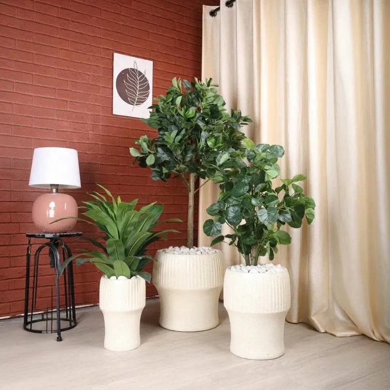 Three white ribbed planters displayed together with indoor plants