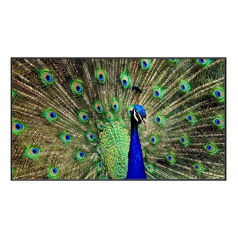 Mayoor Dance Canvas Wall Painting media 3