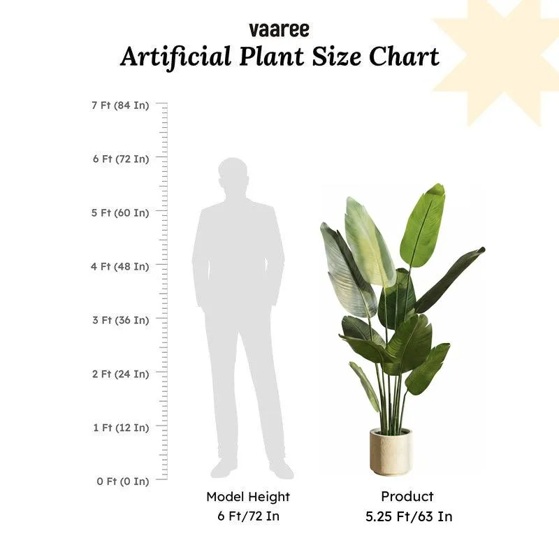 Tropiva Banana Leaf Palm Plant With Black Plastic Pot - 5.2 ft media 6