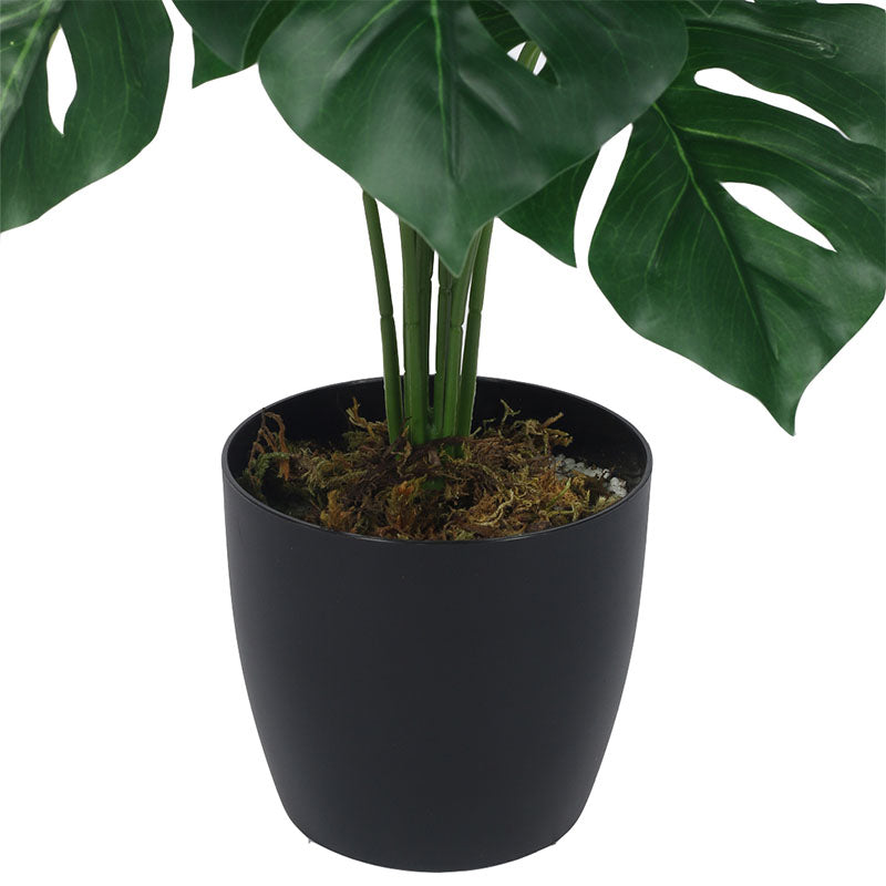 Faux Multicolor Monstera Silk Plant With Black Plastic Pot - 55 cms media 6