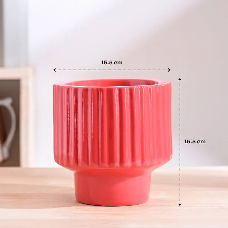 Ugaoo Classic Stria Ceramic Planter - Red media 8