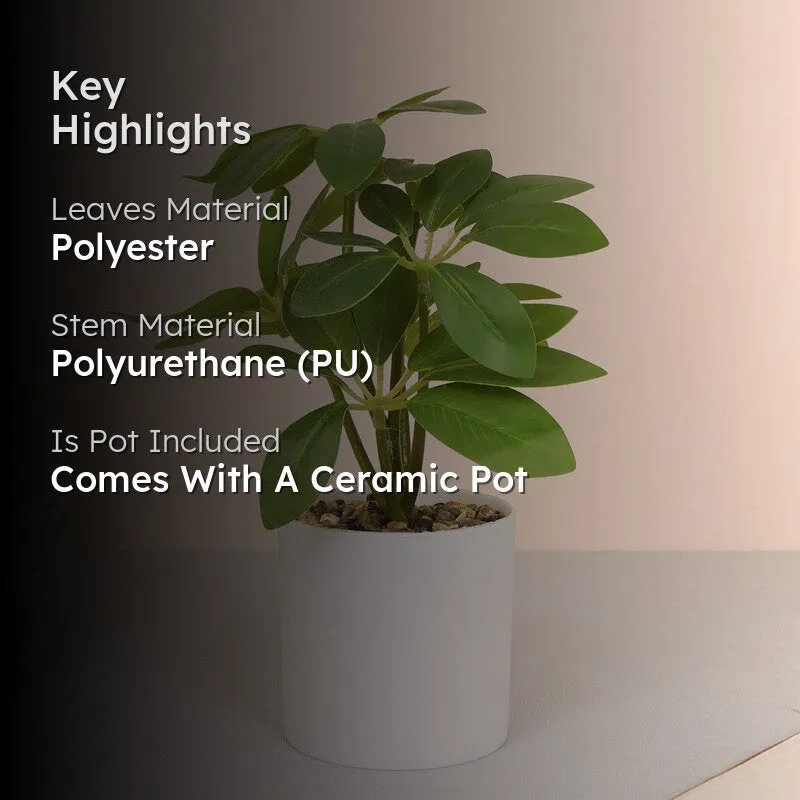 Artificial Schefflera Plants With Pot - Green media 2