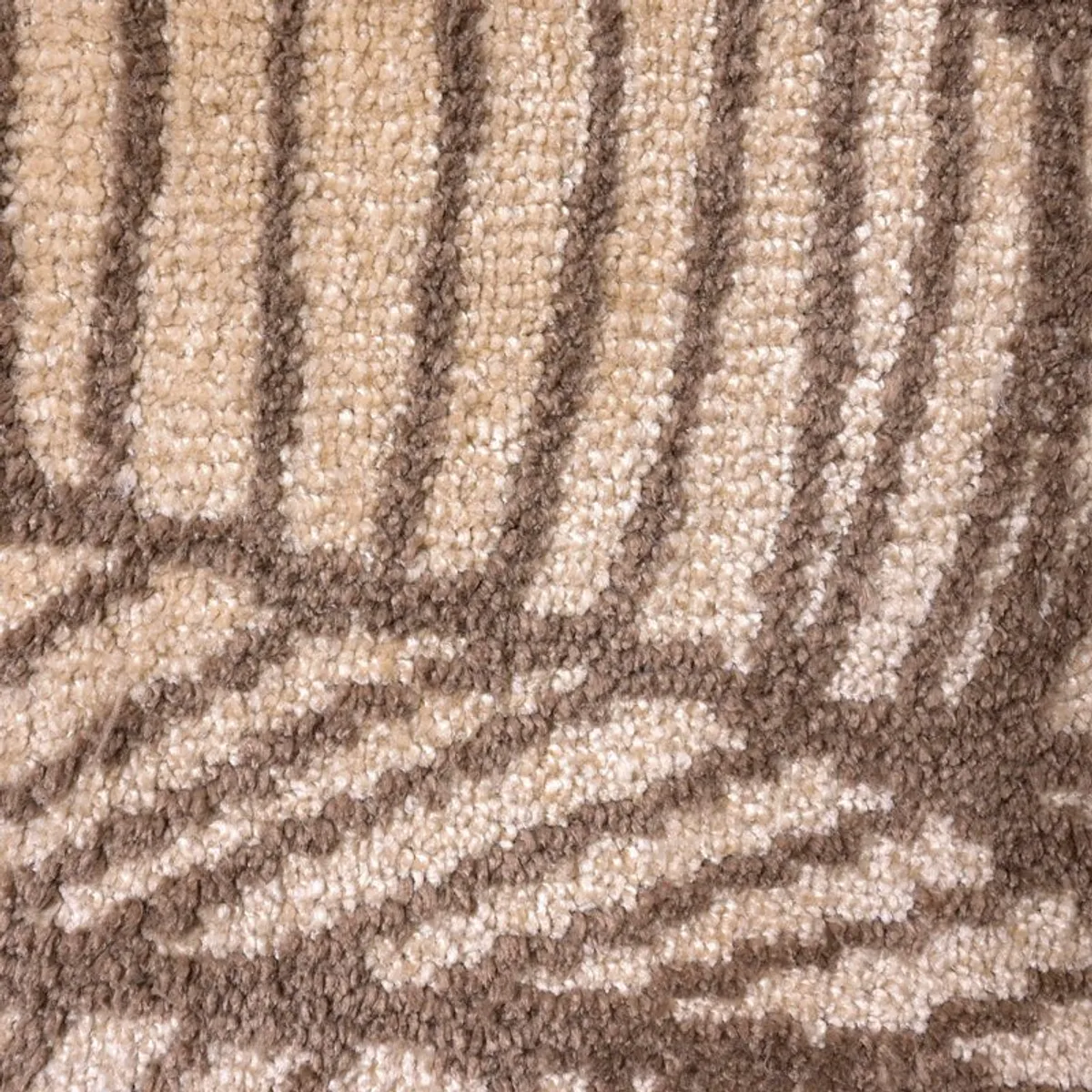 Close-up view of the carpet's soft textured pile