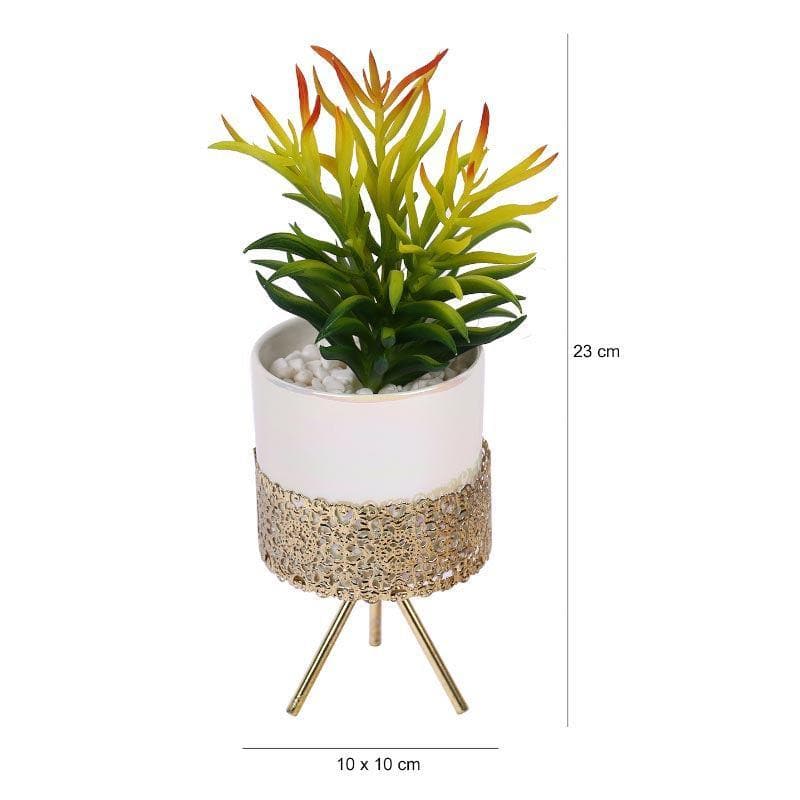 Faux Senecio In Ceramic Pot With Tripod - 25.5 cms media 5