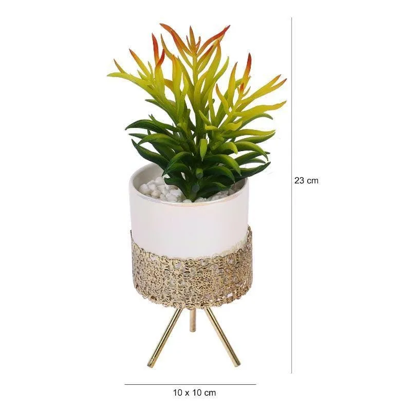 Faux Senecio In Ceramic Pot With Tripod - 25.5 cms media 5