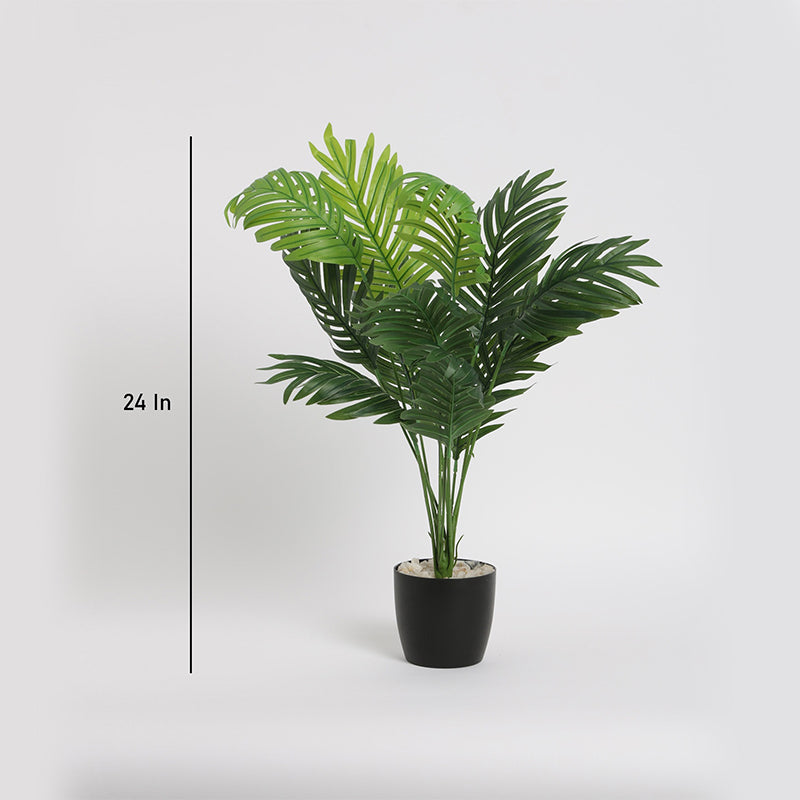 Faux Dypsis Baronii Corton Artificial Plant With Black Plastic Pot - 55 Cms media 4
