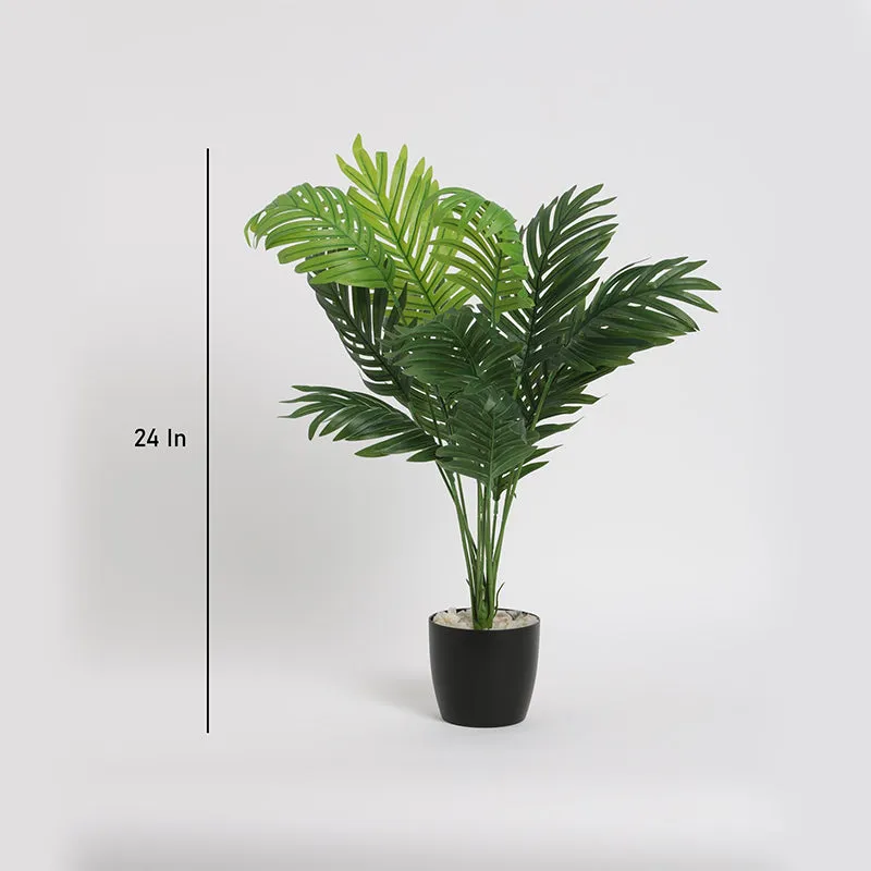 Faux Dypsis Baronii Corton Artificial Plant With Black Plastic Pot - 55 Cms media 4