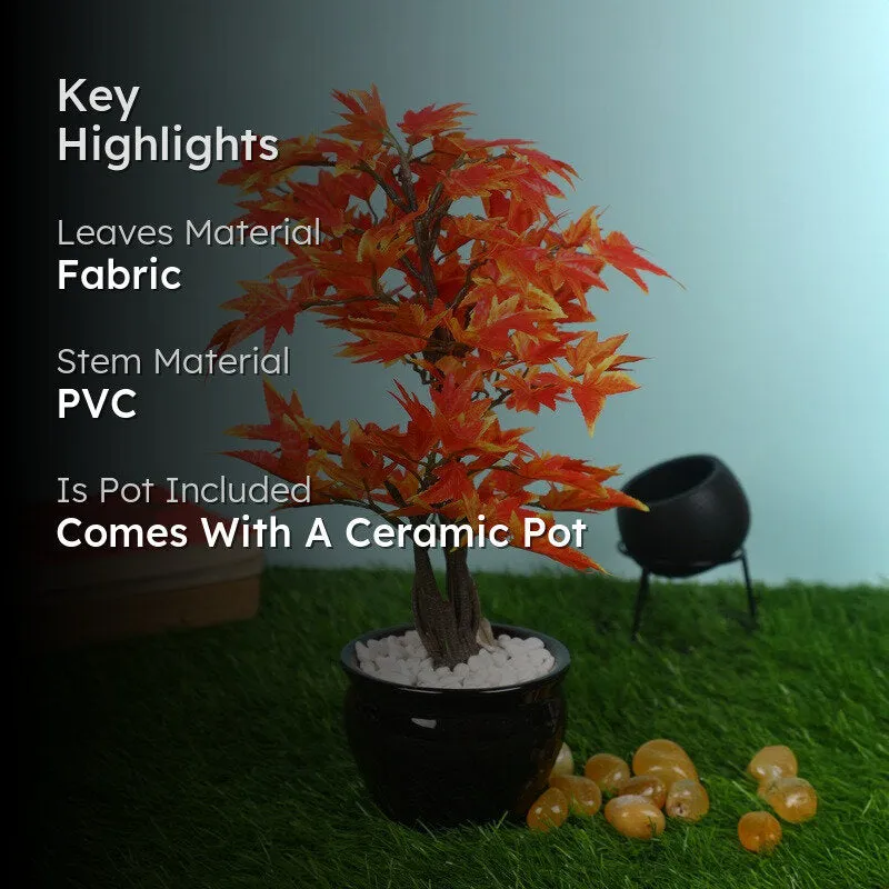 Artificial Orange Maple Bonsai Plant With Ceramic Pot - 1 Feet media 2