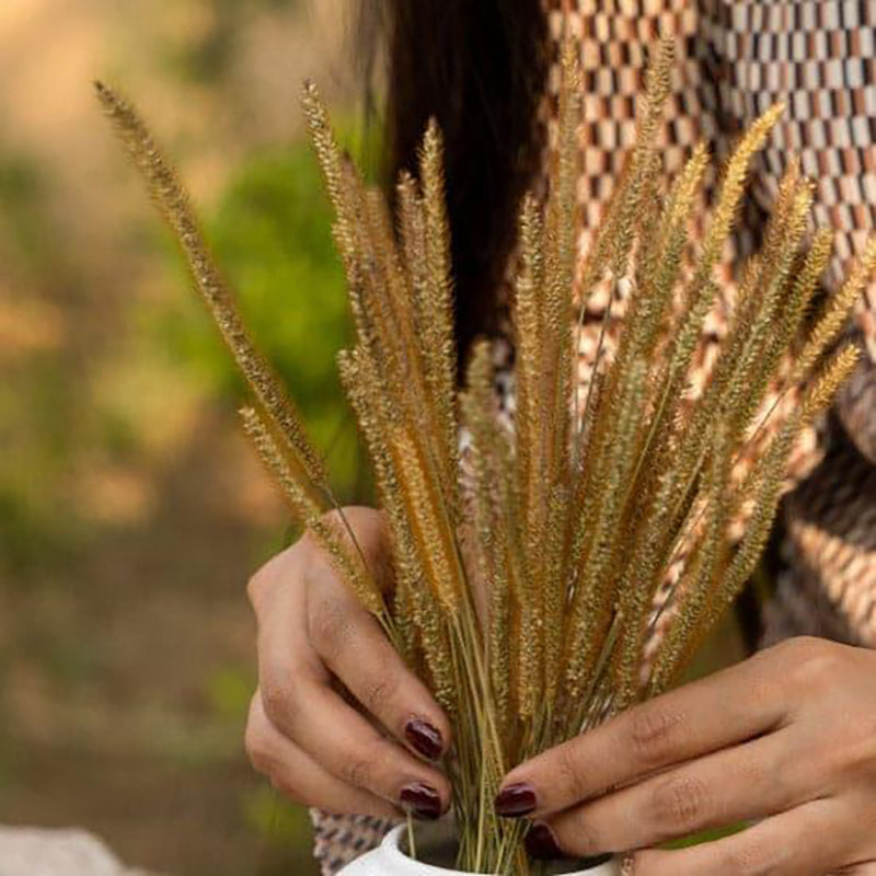 Dried Flowers & Leaves