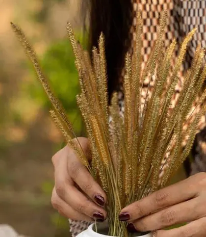 Dried Flowers & Leaves