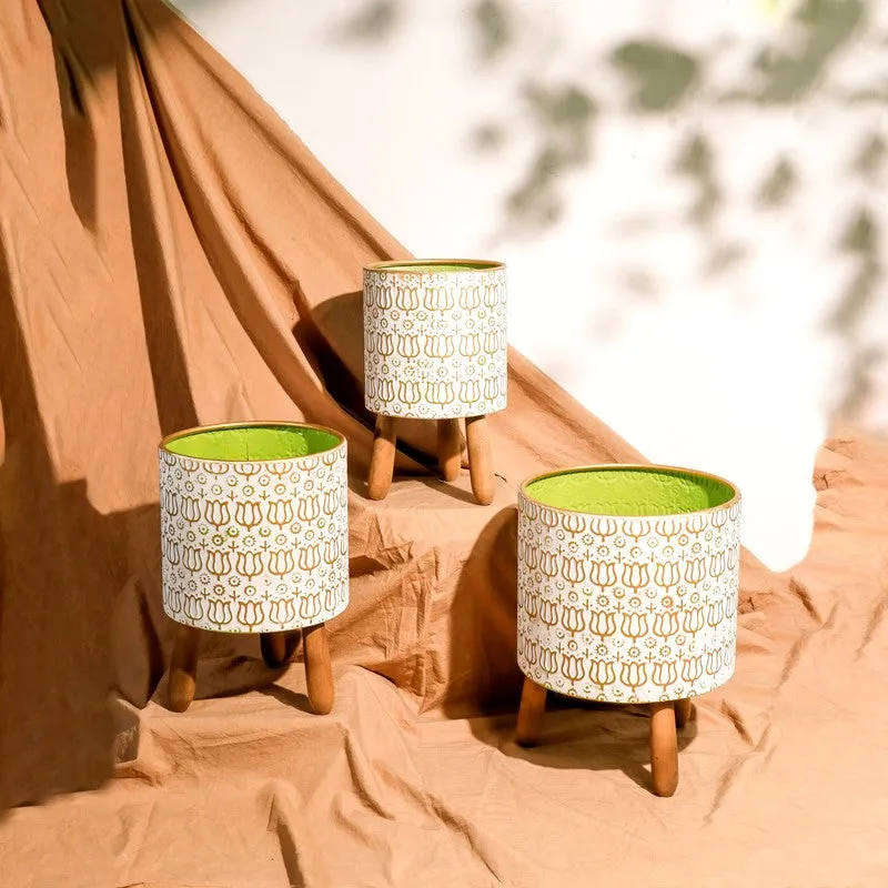 Eden Metal Planters - Set Of Three media 5