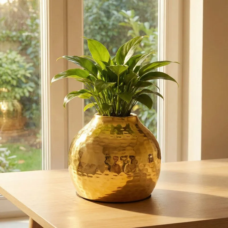 Sculptural Metal Vase -Gold media 6