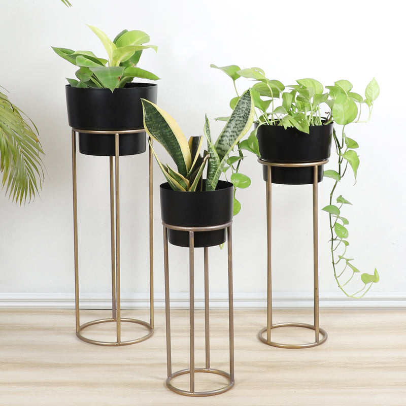 PlantePerch Planter With Stand - Set Of Three