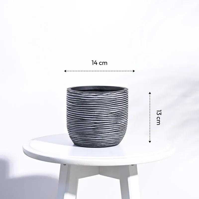 UGAOO Planter Ball Rib - Black media 6