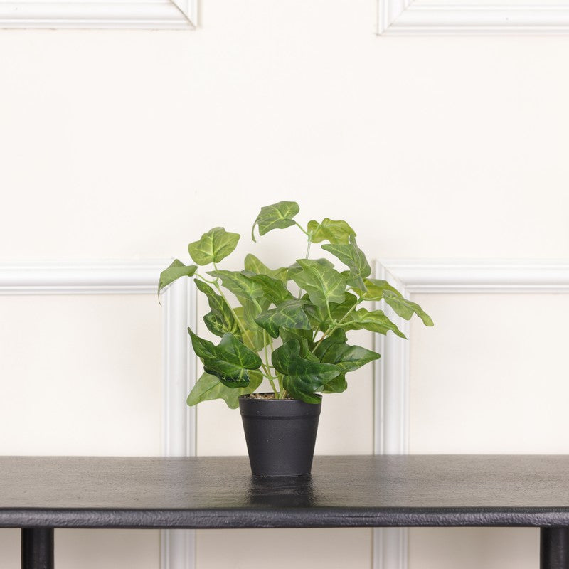 Artificial Ivy Plant With Black Fiber Pot - 0.9 Feet media 3