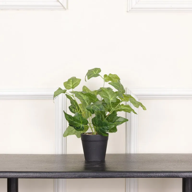 Artificial Ivy Plant With Black Fiber Pot - 0.9 Feet media 3
