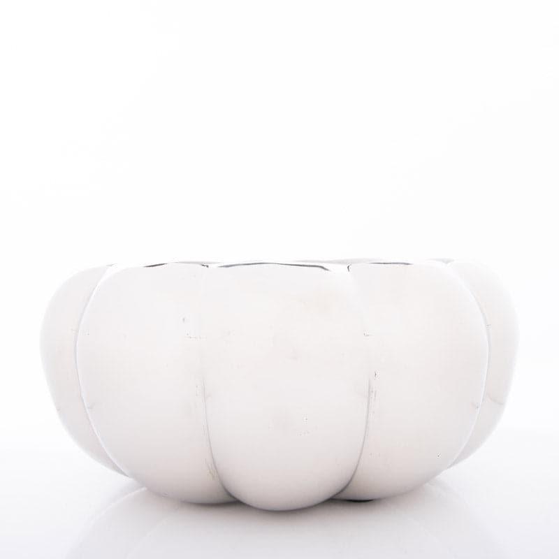 Pumpkin Pal Ice Box - 3000 ML media 4