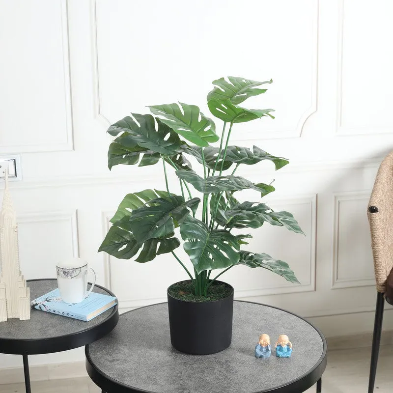 Regal Monstera Artificial Plant Without Pot - 2.3 Feet media 2