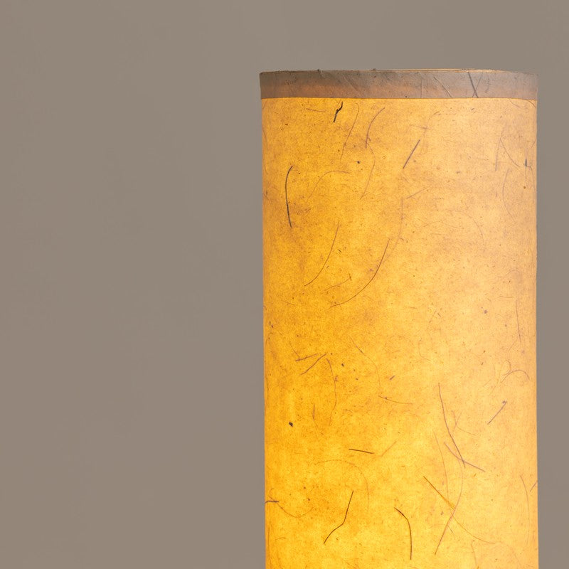 Fig Living Magnus Touch Table Lamp - Ivory media 11