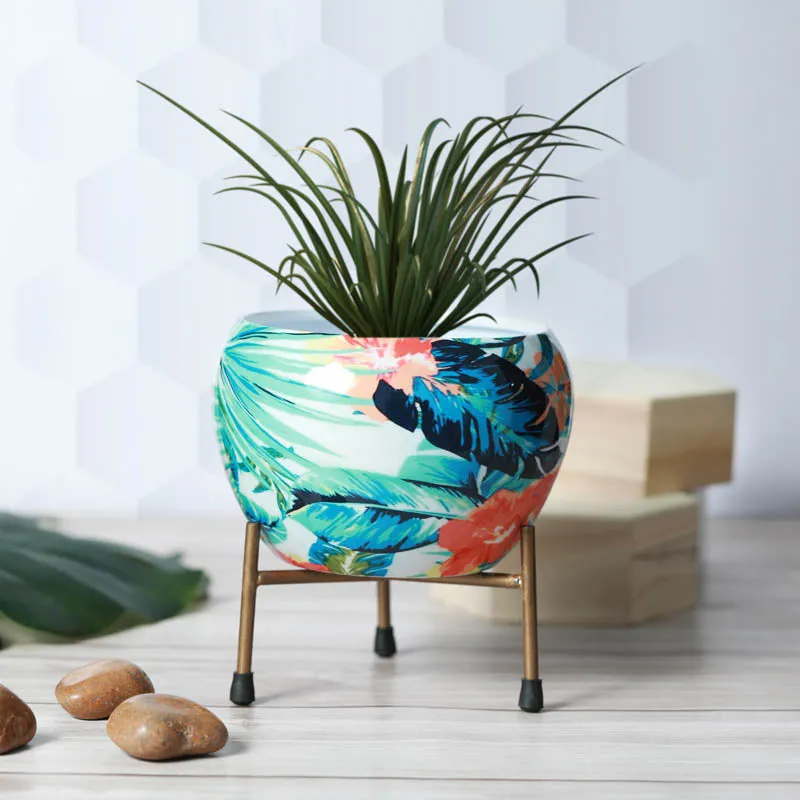 Tropical Tweet Handcrafted Planter With Stand - Four Piece Set media 9
