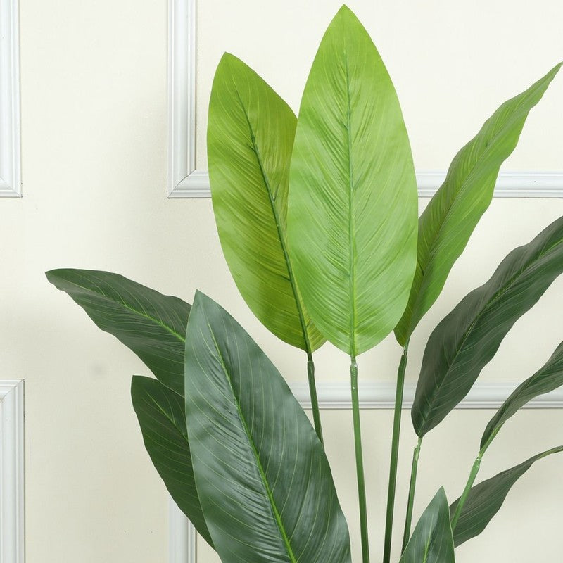 Artificial Strelitzia Plant With Black Fiber Pot - 4.6 Feet media 5