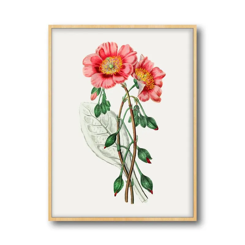 Springs Embrace Archival Paper Wall Art - Natural Brown Frame media 5