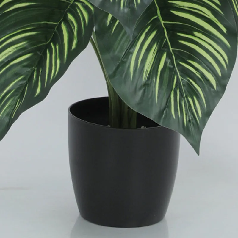 Leafelle Artificial Plant With Black Plastic Pot - 2.5 Feet media 4
