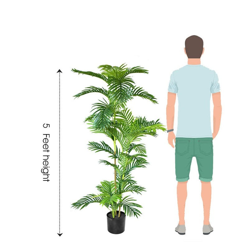 Greenly Artificial Dracaena Plant With Black Plastic Pot - 5 Feet media 8