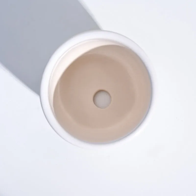 Ugaoo Apple White Ceramic Pot- Small media 5
