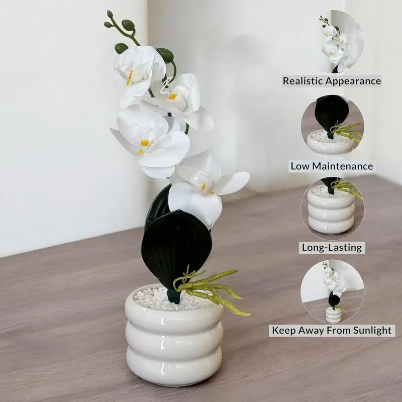 Espiral Orchid Ceramic Vase with flower - White media 3