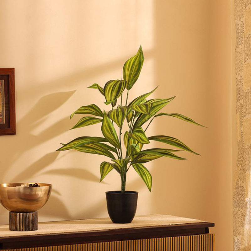 Artificial Decorative Croton Plant Without Pot (2 Ft) - Set Of Two
