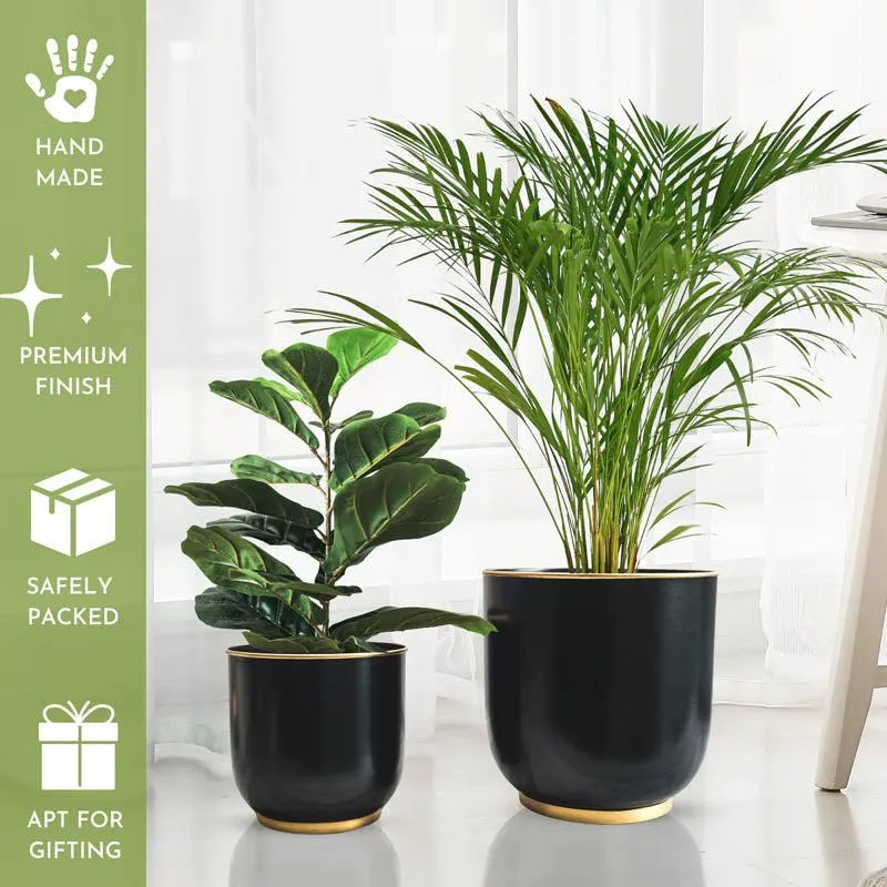 Raven Floor Planter - Set of Two media 6