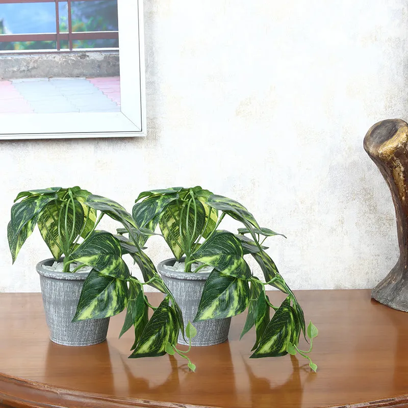 Mahlo Artificial Pothos Plant With Black Plastic Pot media 1
