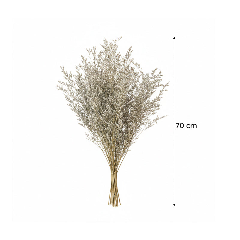 Naturally Dried Lavender Limonium Stems - Set Of Five image 6