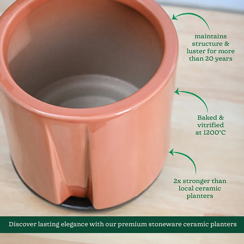 Ugaoo Duke of Drainage Ceramic Planter - Coral media 5