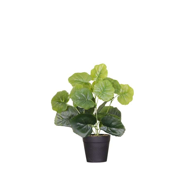 Artificial Grape Ivy Plant With Black Fiber Pot - 0.9 Feet media 4