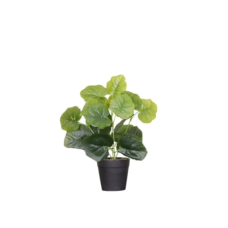 Artificial Grape Ivy Plant With Black Fiber Pot - 0.9 Feet media 4