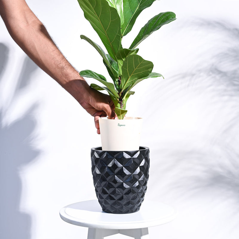 UGAOO Planter Heraldry Vase Taper Round - Black media 5