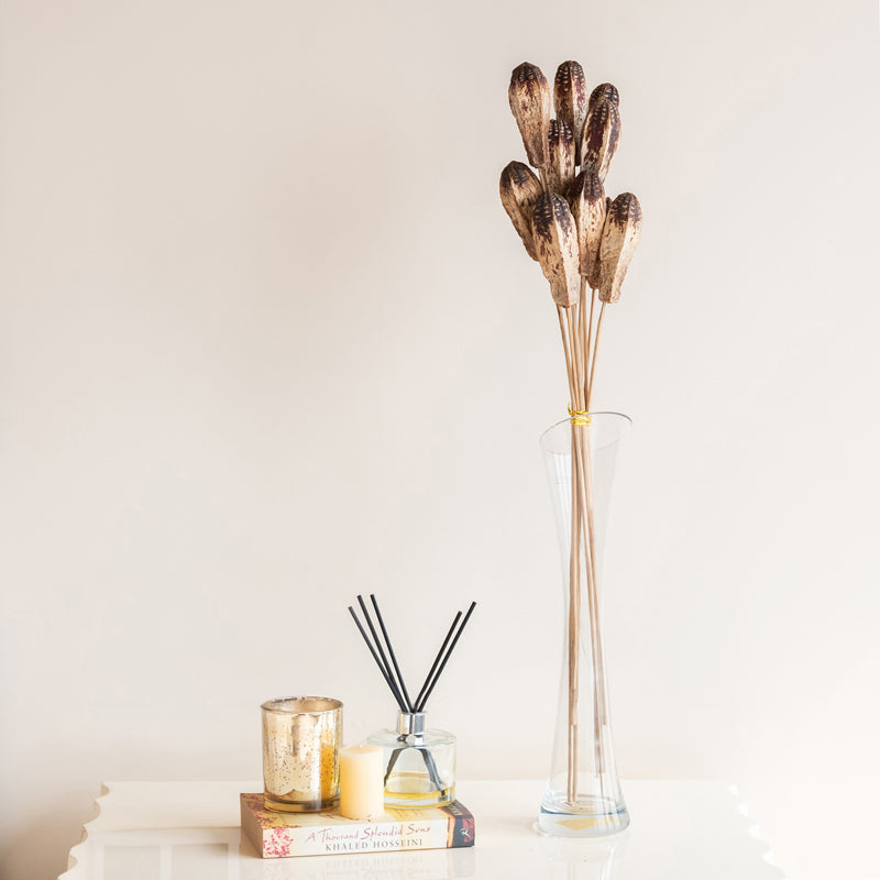 Naturally Dried Mehogany Stem - Set Of Ten media 5