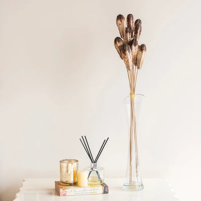 Naturally Dried Mehogany Stem - Set Of Ten media 5