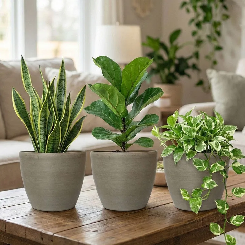 Aurora Garden Planter - Set Of Three media 3