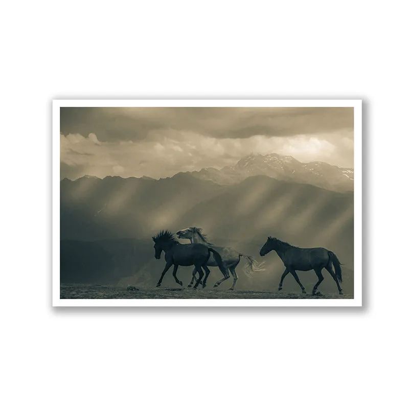 Equine Silhouette Wall Art with White Frame media 3