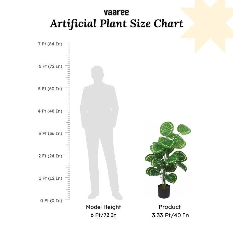 Faux Lush Calanthea Plant With Black Plastic Pot - 3.3 Feet media 6