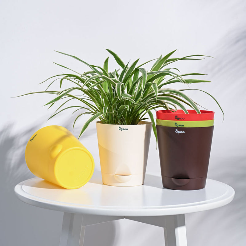 Ugaoo Bare Root Plastic Planter (Multicolor) - Set Of Five media 2