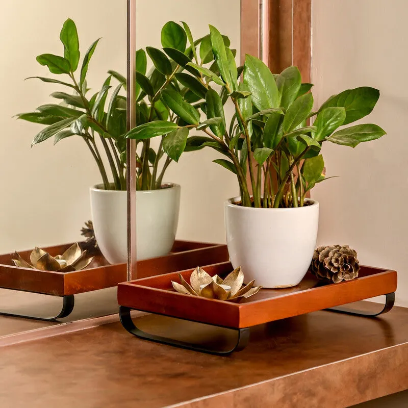 Dini Wooden Platter media 5