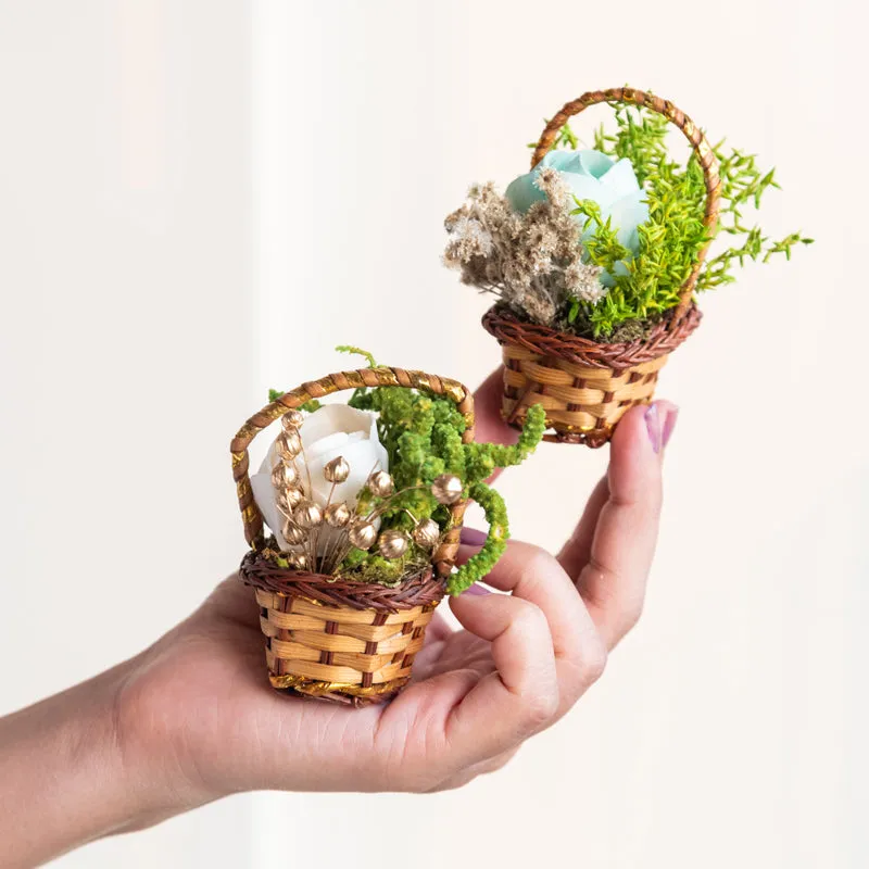 Tritona Mini Dried Flower Basket - Set Of Six media 4